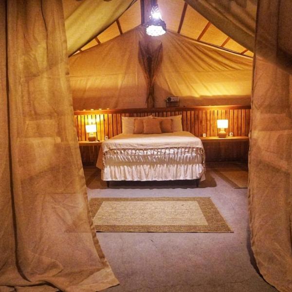 Aloha Glamping - Foto 5