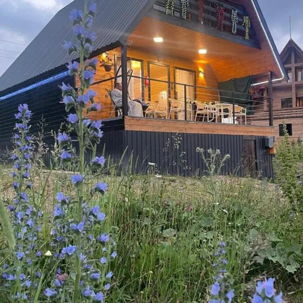 Apko Hut Gudauri, hotel in Gudauri
