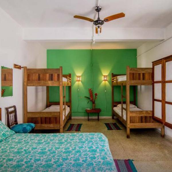 Casa Bacarirá - Floresta com Yoga e Café da Manhã Vegano - Foto 2