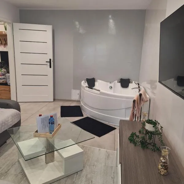 Apartament z jacuzzi w centrum Katowic, hotel in Katowice