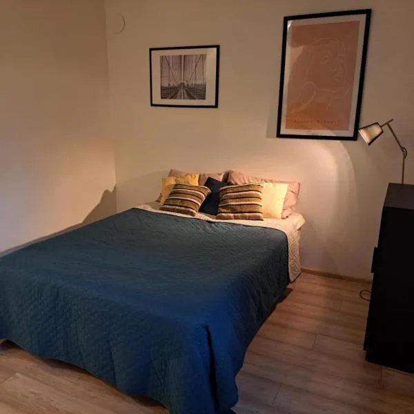 Cozy Studio - 5 min to Lake & City, ξενοδοχείο σε Aluksne