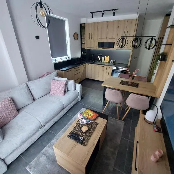 Apartman Šišarka Dva Divčibare, hotel a Divčibare