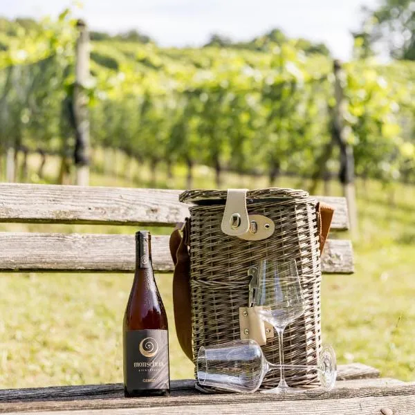 Monschein Weingut Straden, hotel in Straden