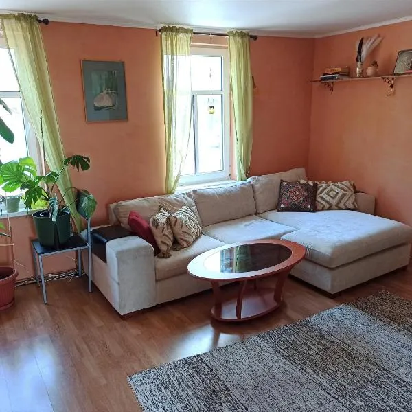 Parkside Spacious Gem, hotel in Viljandi