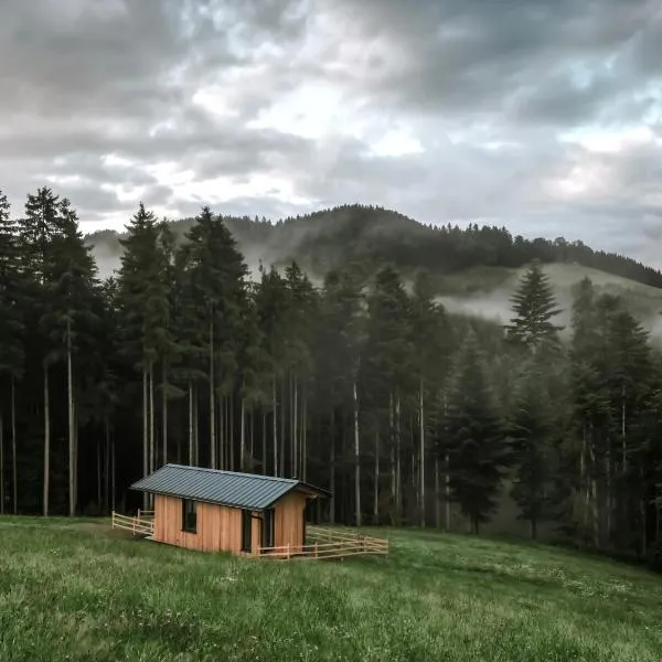 Ferienhaus "Moosgrün" - Tiny House Urlaub – hotel w mieście Ybbsitz