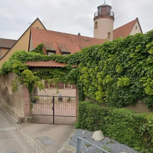 Le belvédère au cœur de Saverne, hotel in Saverne