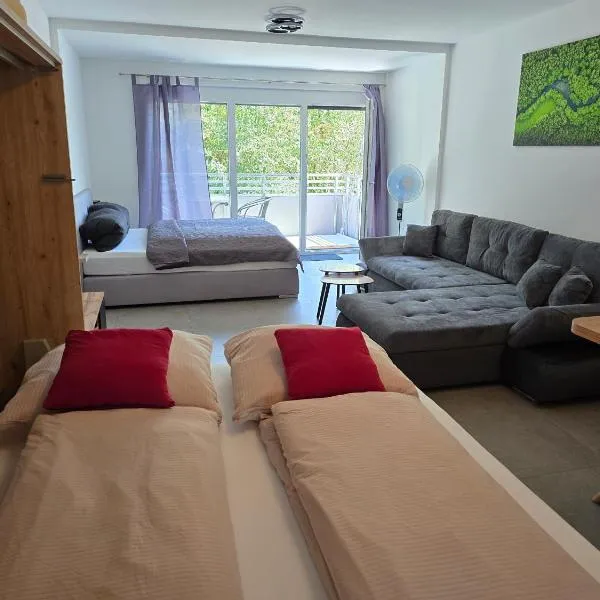 Modernes Apartment in guter Lage Deluxe, hotel in Ingolstadt