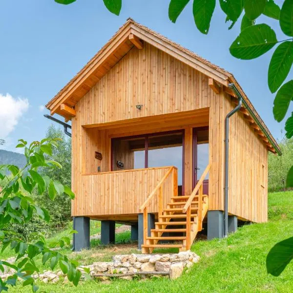 Wezly Tiny House, hotel em Măgura