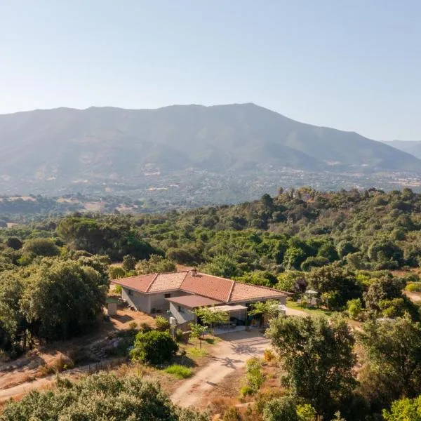 Gozzi Mandriolu，Afa的飯店