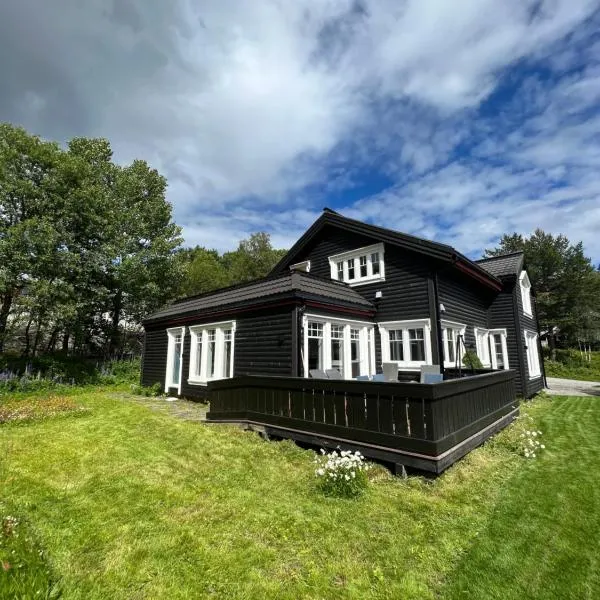 Solsiden Geilo Cozy Studio location Geilo Centrum, hotel in Hol