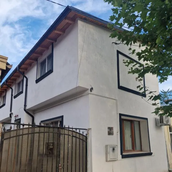 Casa Rahova, hotel in Brăila