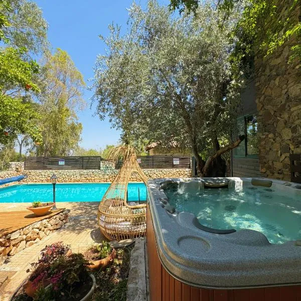 THE HOUSE ROSH PINA - 3BRM WITH POOl, hótel í Rosh Pinna