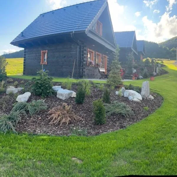 tradičná Čičmanská drevenica, hotel in Čičmany