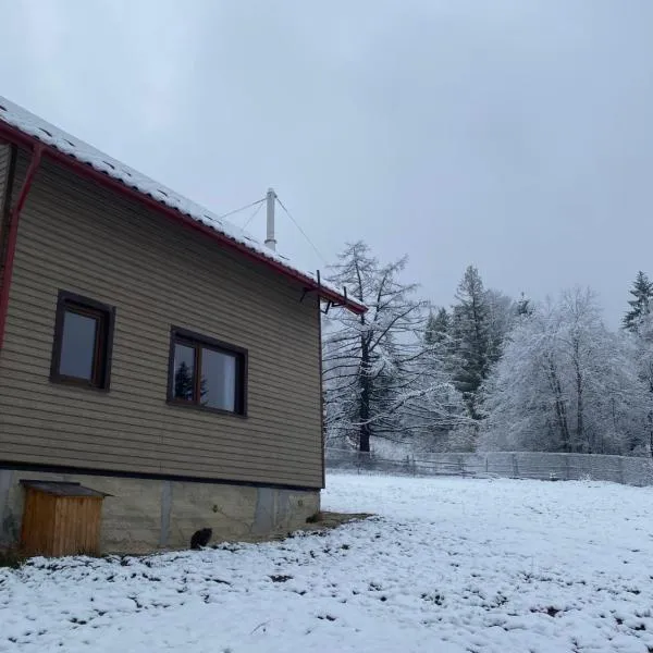 Hutsulka House, hotel v destinaci Mykulyčyn