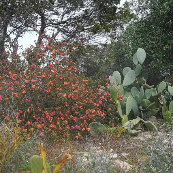 Apartamento Illa Blanca, hotelli kohteessa Es Pujols