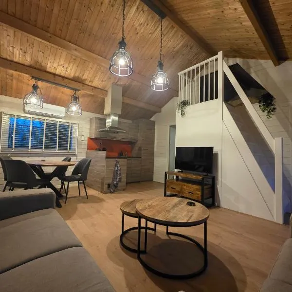 leuke gezellige blokhut，位于Vijfhuizen的酒店