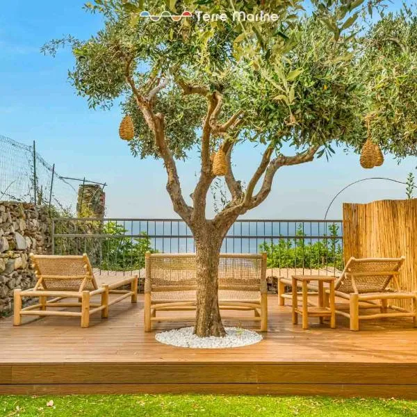 Trè Uliva, hotel in Corniglia