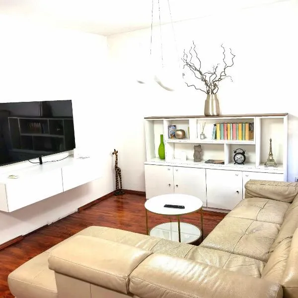Luxury apartment Podgorica, hotel v destinaci Podgorica