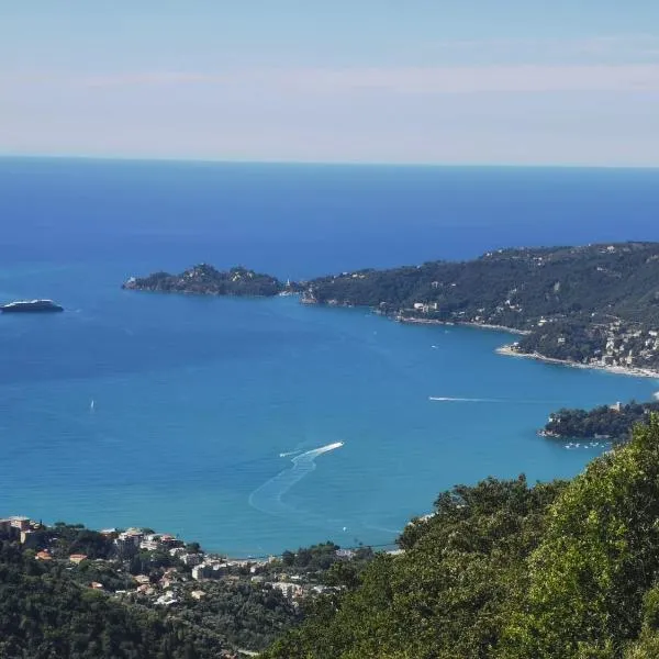 Hotel Montallegro, hotel in Rapallo