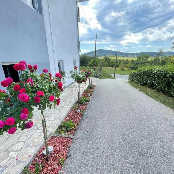 Apartman Antonio, hotel Ladvenjak városában