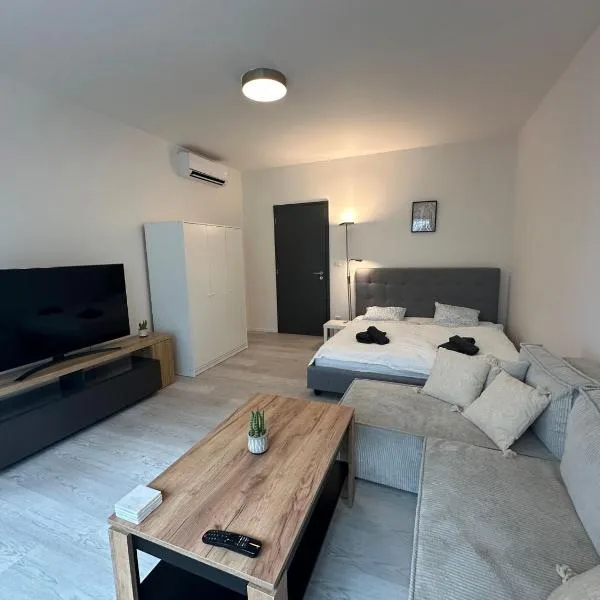 Ubytování v centru Brna u hlavního nádraží s garáží, hotel in Brno