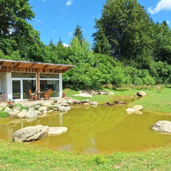 Froschteichhäuschen - Natur und Wellness, מלון בSpitzwiesen