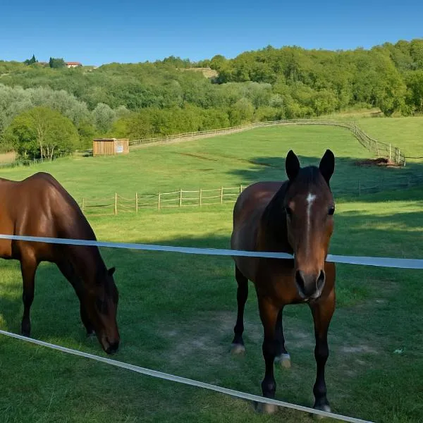 B&B Freedoms Reins Farm, hotel in Casalborgone