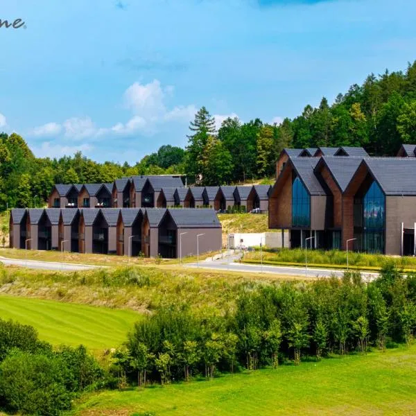 Wonder Hill - apartamenty z balkonami lub tarasami, klimatyzowane, z pięknym widokiem na góry – hotel w mieście Sosnówka