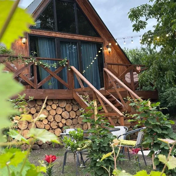 Tasia's Cottage，Tsalka的飯店