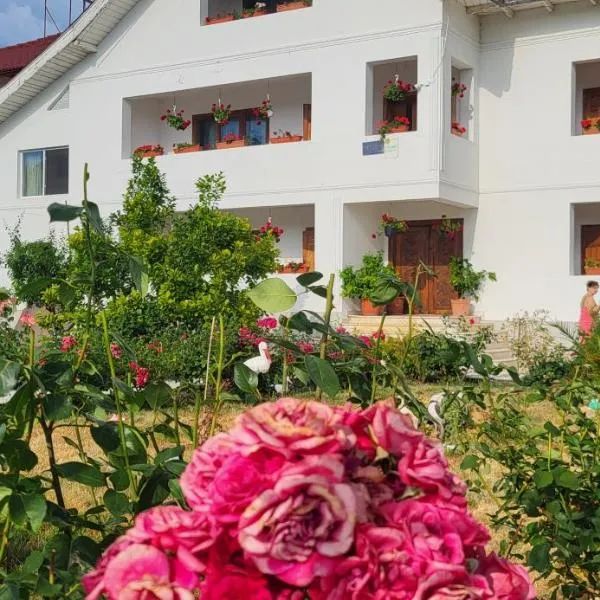 Pensiunea Ela Novaci, hotel in Novaci