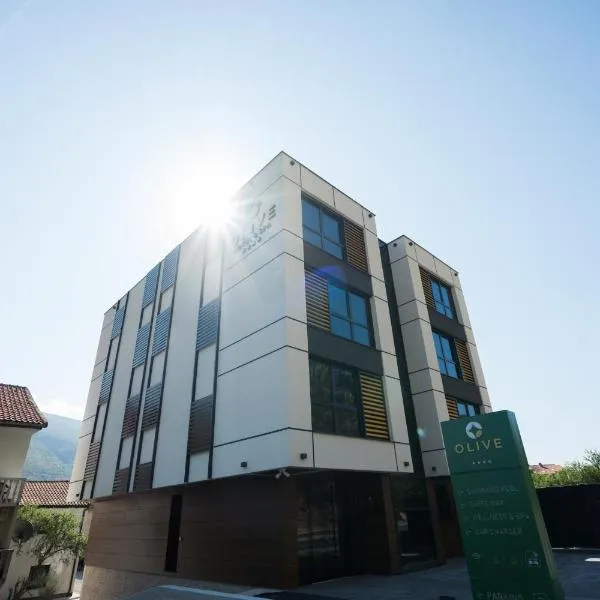 Hotel Spa Olive, ξενοδοχείο στο Μόσταρ