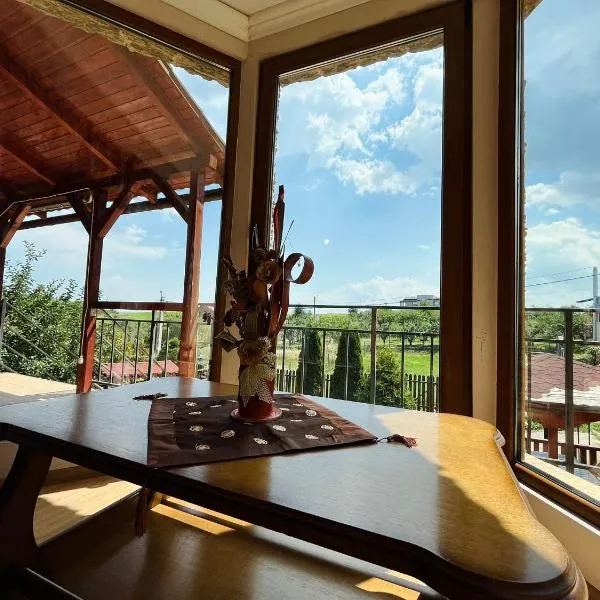 The Salin House, hotel din Turda