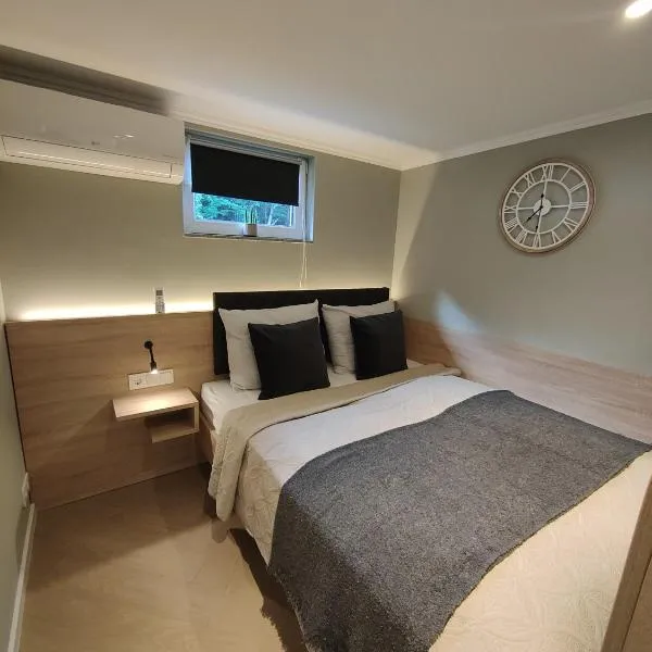 Five Studios - Premium Rooms with King Size Bed, Kitchen, AC, close to Ramstein Air Base, hotel in Ramstein-Miesenbach