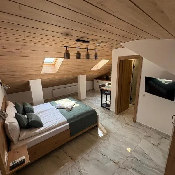 *Studio David*, hotel in Sibiu