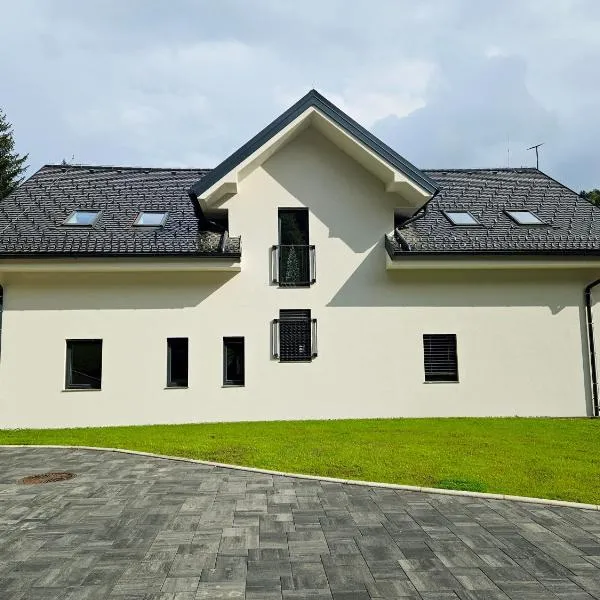 Apartmaji Vouk - sodobni apartmaji v objemu narave - Lukanja - Rogla - Primerno za pare in družine - Sprostitev in aktivno preživljanje prostega časa, hotel in Oplotnica