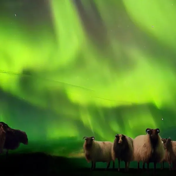 Sky Retreat & Private Jacuzzi, hotel in Hvolsvöllur