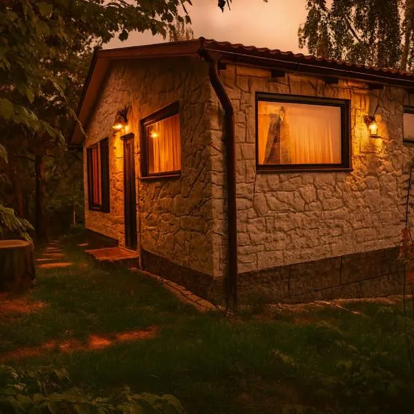 Forest Hide Tiny House, hotel di Covasna