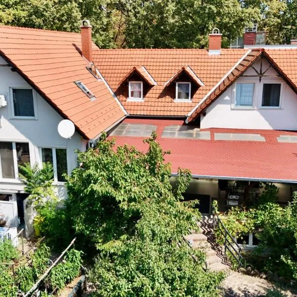 Goldschmiedt Vendégház, hotel u gradu Pálköve