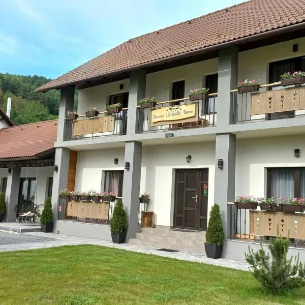 Constantin Panzió, hotell sihtkohas Praid