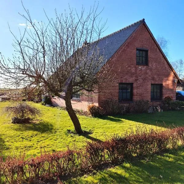 Ferienhaus Helserdeich - Urlaub zwischen Brunsbüttel und Friedrichskoog, hotell i Helse