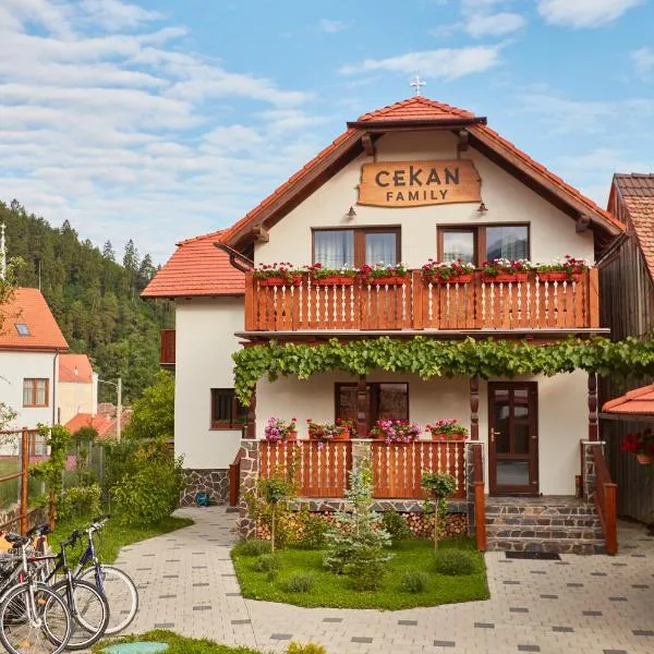 Cekan Family Guest House, hotel in Gura Râului