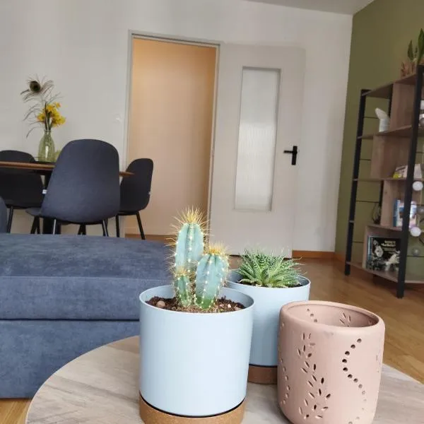 meublé du Plateau - Nancy centre Gare Tgv, hotel in Nancy