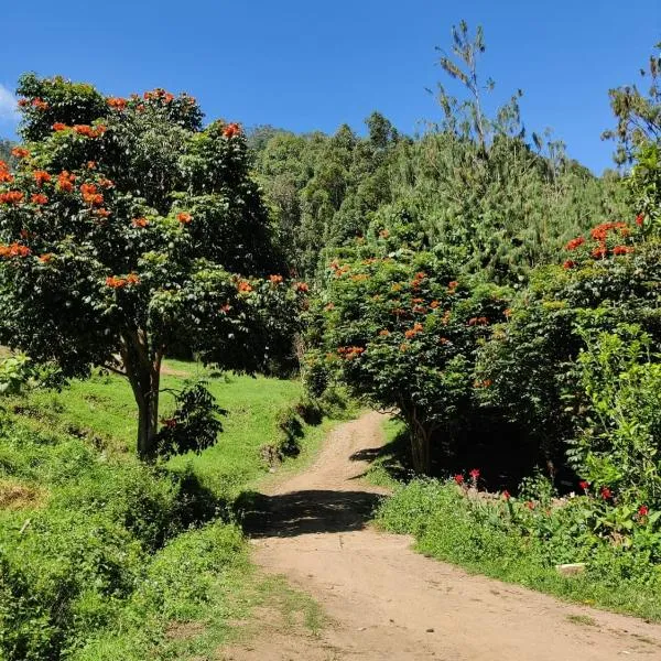 Lone Tree Creek、Vattavadaのホテル