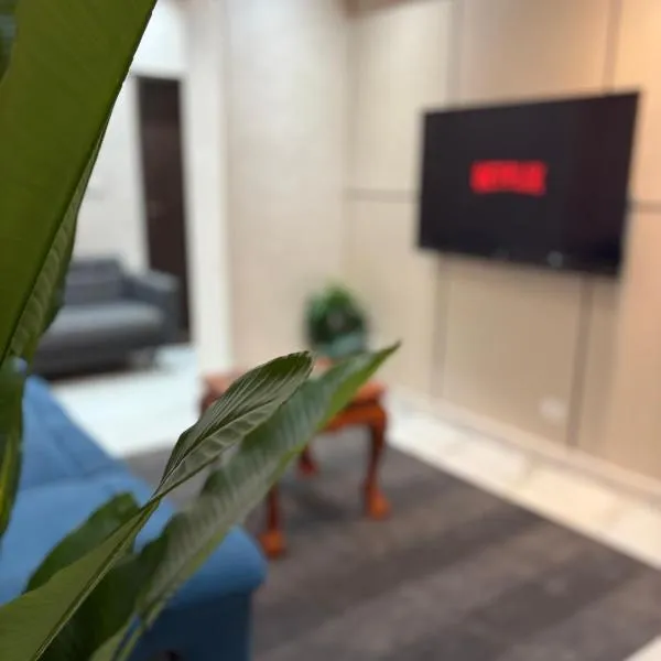 Luxury 2-BDR Cozy apartment in EL-Zamalek Island，開羅的飯店