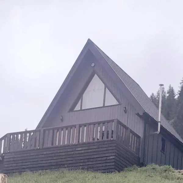 Тишина гір Над потоками, hotel a Berezhnytsya