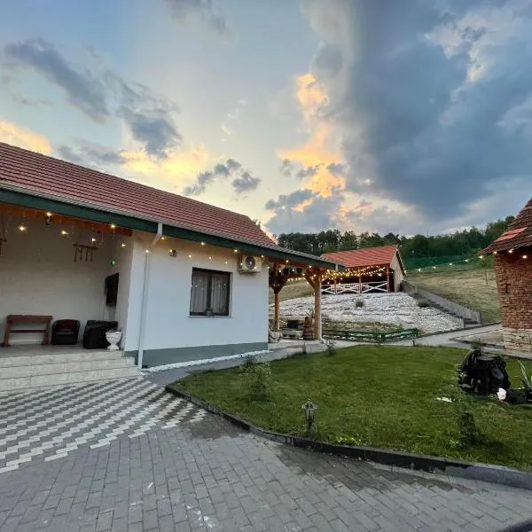 Domeniul Bondarelului, hotel v destinaci Ocolişu Mic