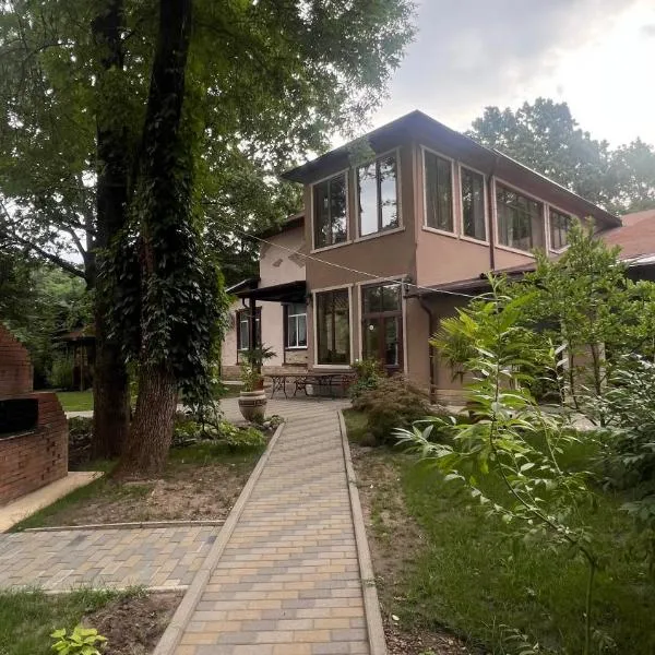 Hotel Dumbrava, hotel in Şoldăneşti