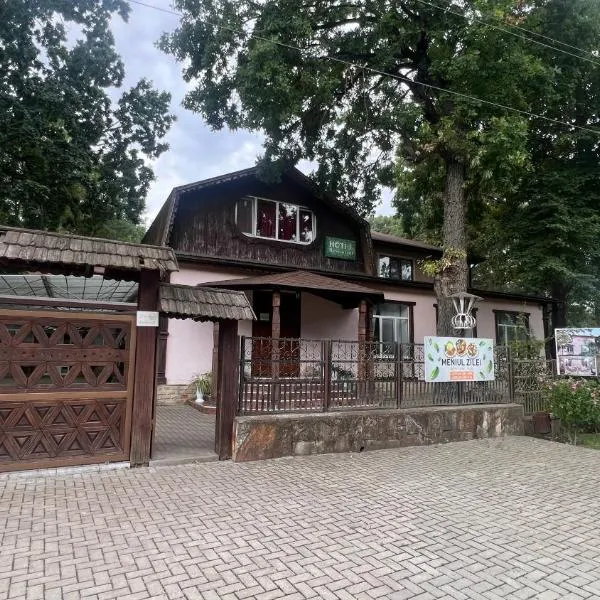 Hotel Dumbrava, hotel en Şoldăneşti