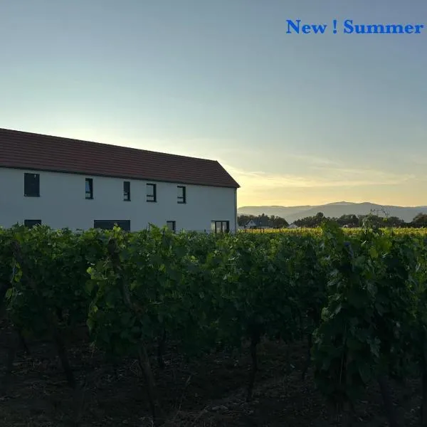 COLMARandCo au coeur des vignes, hotel i Ingersheim