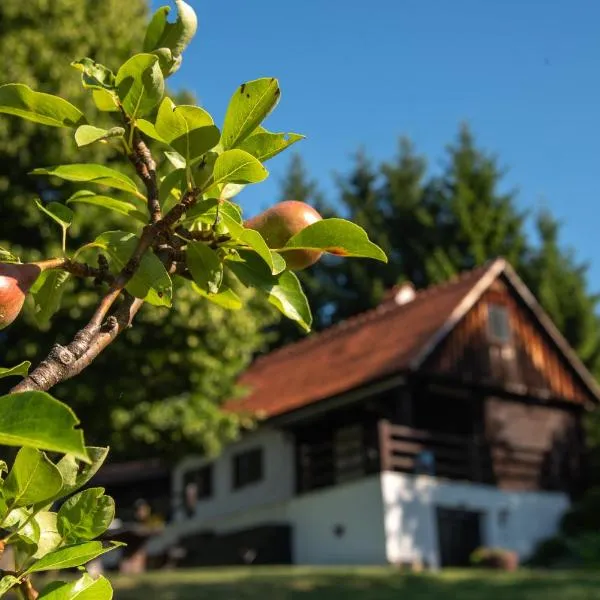 Martin's Family Cottage with Hot Tub & Views, hotel v destinácii Šmarje pri Jelšah